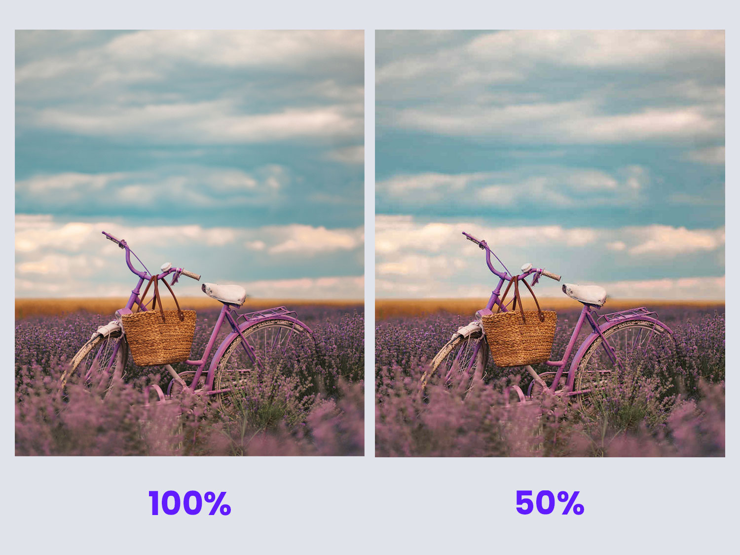 jpg optimization example comparison