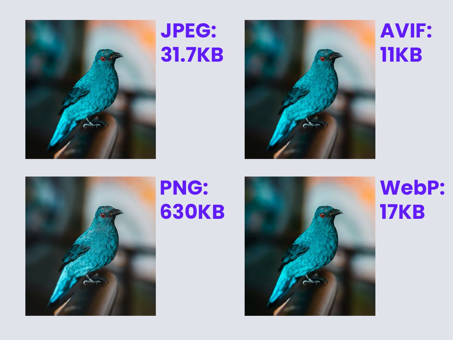 a comparison between different raster formats and their file sizes