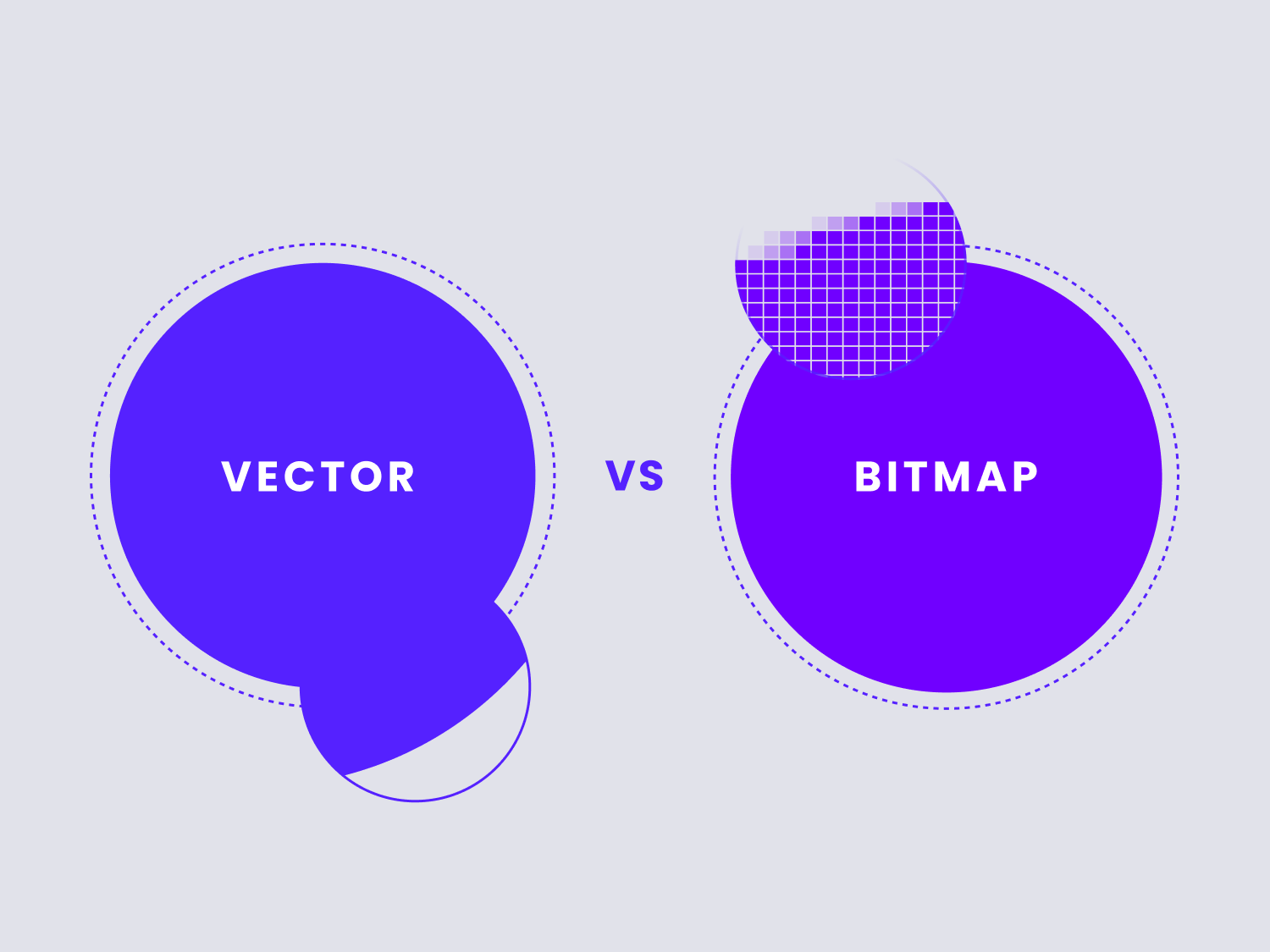 VectorVSBitmap